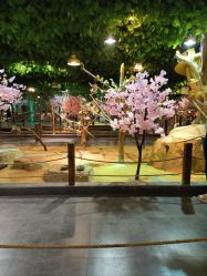 -酷嗒动物文化乐园(cutezoo西溪乐天城店)