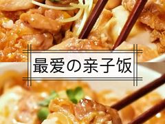 -春草居酒屋·晴子の店