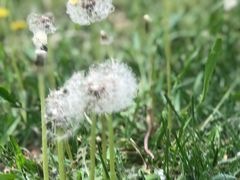 -月河湾马术俱乐部(朝阳店)