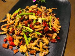 鱿鱼-梧桐树下(云锦世家店)