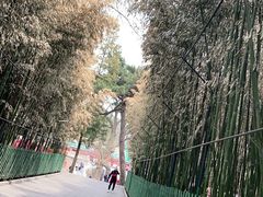 -红螺寺