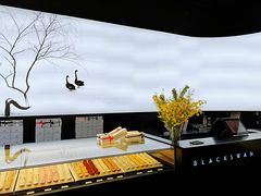 -BLACKSWAN黑天鹅(环球店)