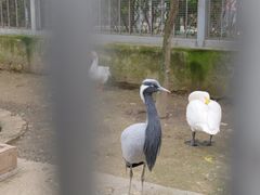 -水绘园