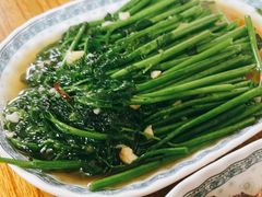 五指山野菜-椰小调.儋州米烂(名门店)