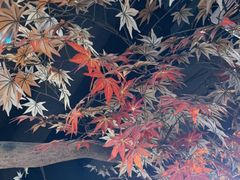 -城墙拐拐火锅(三峡广场黑金冠店)