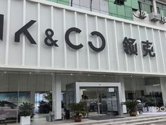 -青岛鸿发智越领克新能源中心