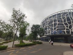 -首都医科大学附属北京天坛医院
