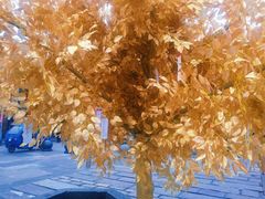 -溪口-滕头旅游景区