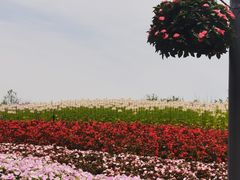 -东平国家森林公园