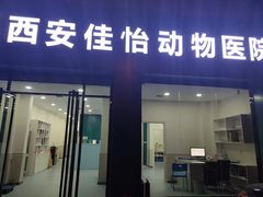 -佳怡动物医院·平价24小时·猫专科骨外科