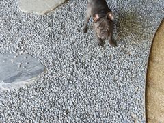 -J Create城市露营咖啡·简餐·宠物(上海动物园店)