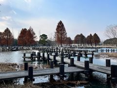 -沙家浜风景区