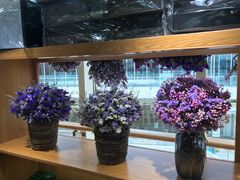 -L.C FLORA花予你(城西银泰城店)