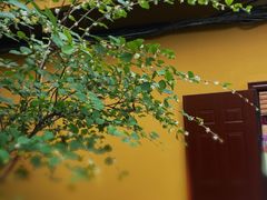 -龙华寺