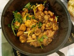 花雕鸡锅-鲜入围煮花胶鸡海鲜火锅