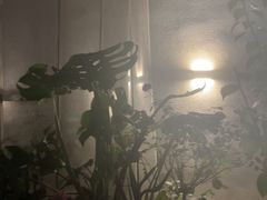 -雅苑中餐厅