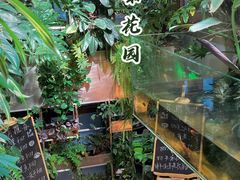 -森味薪火烧•烧鸟居酒屋•日本料理(望京店)