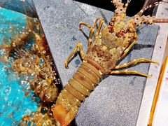 -盒马鲜生(曜一城店)