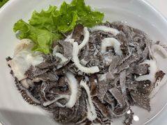 鲜脆毛肚-阳坊胜利涮羊肉(阳坊老店)