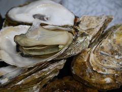 至尊桑拿蚝-天宝食坊·啫啫煲大排档(西华路店)