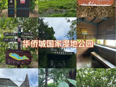 -华侨城湿地公园