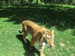 -北京野生动物园