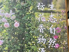 -亚龙湾国际玫瑰谷