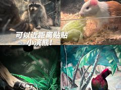 -锦艺城海洋馆