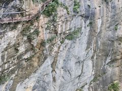 -鹿院坪生态旅游景区