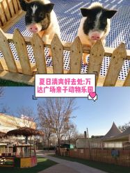 -萌宠亲子动物乐园(槐房万达店)