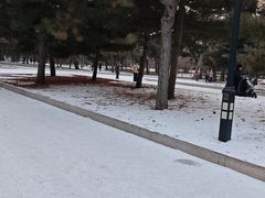 -北陵公园