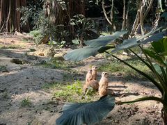 -广州长隆野生动物世界