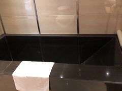 -大连大和馆观山阁温泉酒店
