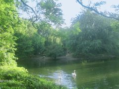 -长白岛森林公园