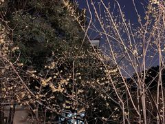 -上海虹桥迎宾馆