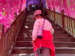 -沕沕水生态风景区