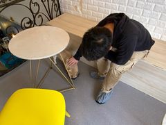 -喜柴咖啡·柴犬狗咖