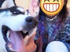 -喜柴咖啡·柴犬狗咖
