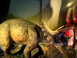 -恐龙探索乐园(磁器口店)