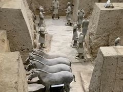 -秦始皇兵马俑博物馆-停车场