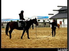 -松声马术俱乐部