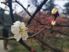 -山东大学(趵突泉校区)