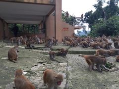 iphone_upload_pic-广西龙虎山风景区