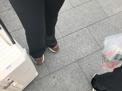 -世纪钟