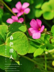 -玄武湖景区-情侣园游乐场