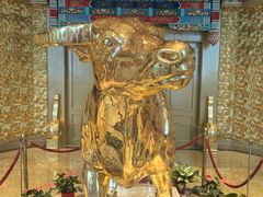 -华西龙希国际大酒店旅游观光景区