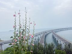 -星海湾跨海大桥