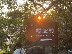 -紫金山山顶公园