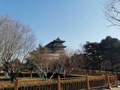 -爆肚冯(廊房二条店)