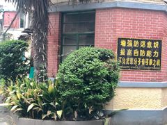-胶囊画廊